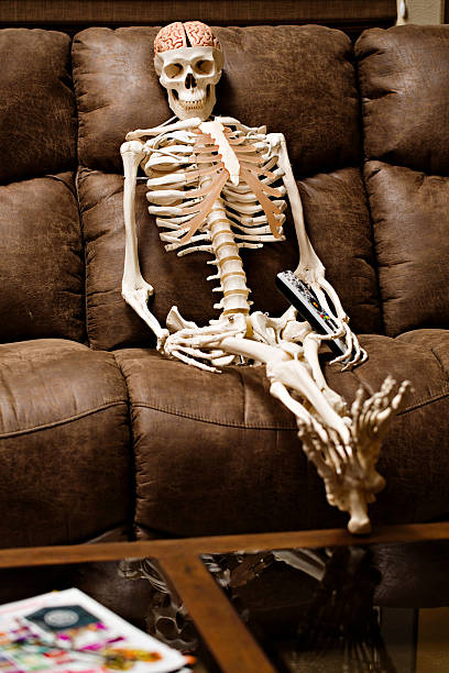 132 Skeleton Tv Stock Photos, Pictures & Royalty-Free Images - iStock