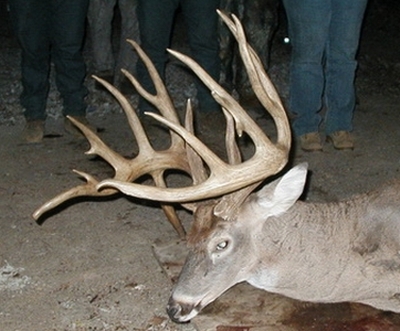 big_buck_banner_1_2007.JPG