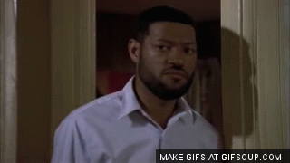 ZGhsX4M.gif