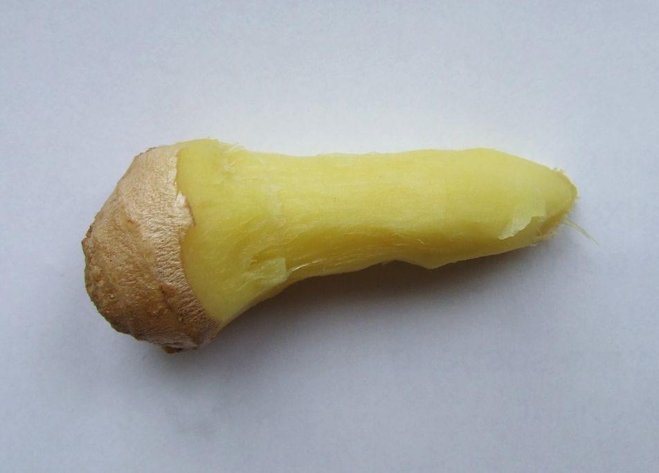 Ginger_Finger_for_Figging.jpg