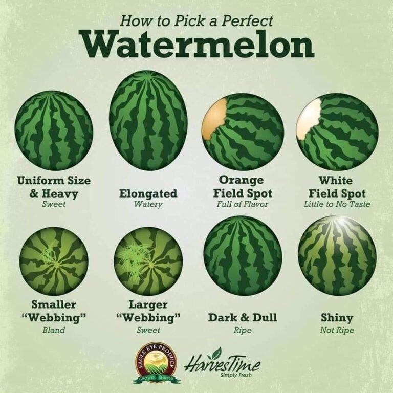 How-to-pick-the-perfect-watermelon-768x768.jpg