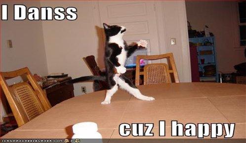 funny-pictures-dancing-cat1.jpg