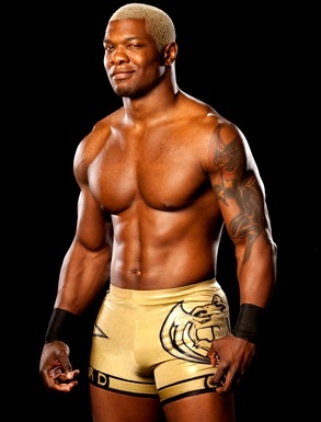 6a7dde6cc7f11aec391961b82b8cfb4e--wwe-superstars-the-gold.jpg