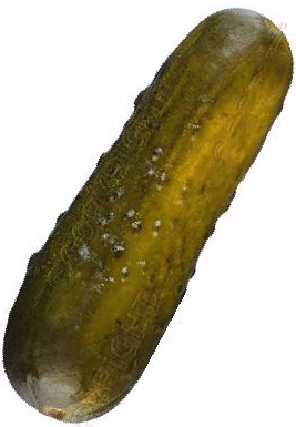 pickle.jpg