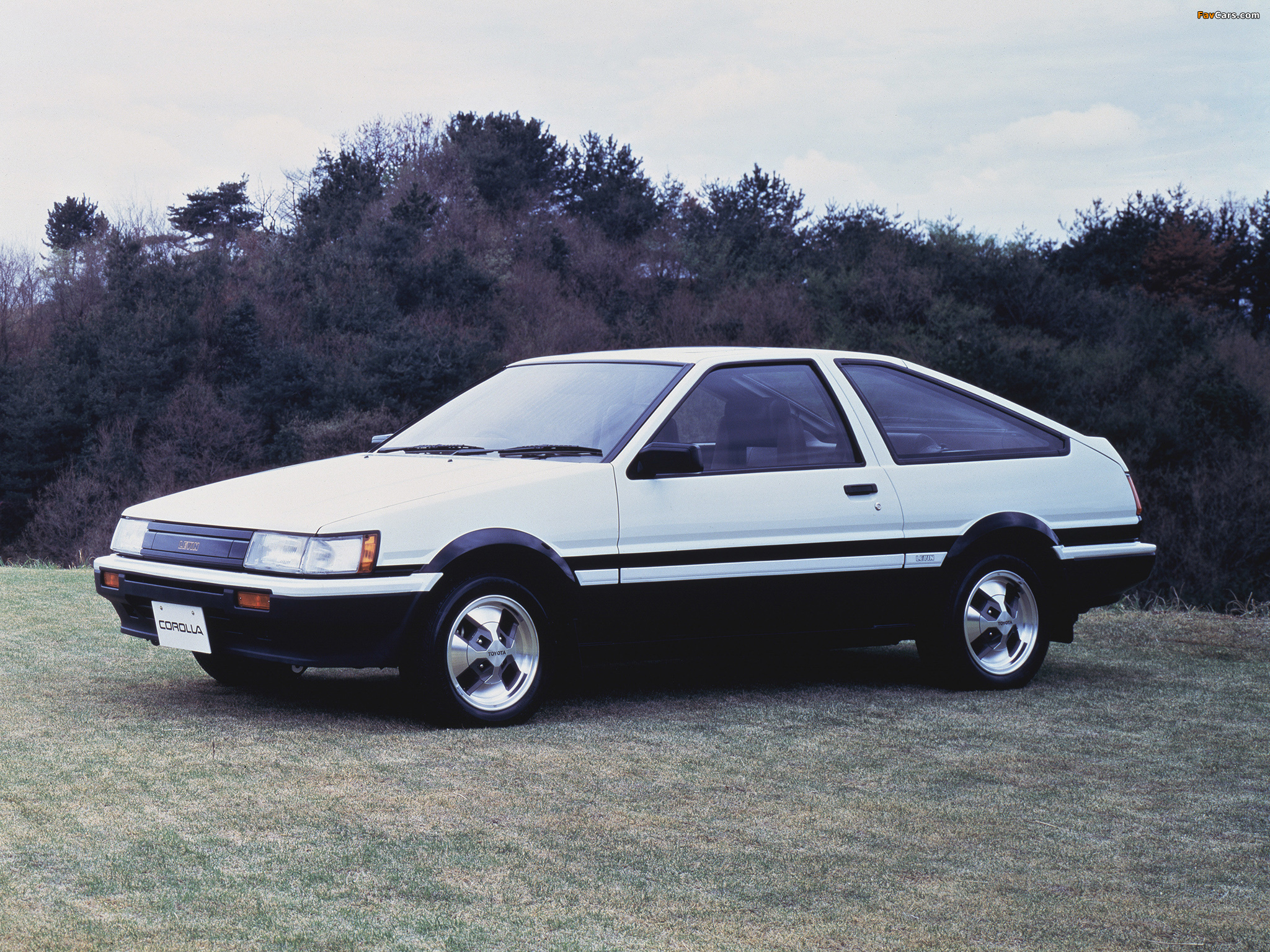 pictures_toyota_corolla_levin_1983_1.jpg