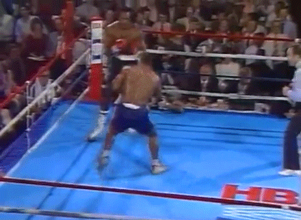 Tyson-knockout-2.gif