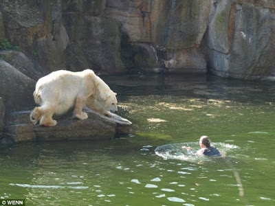 polar-bear-attack-berlin-01.jpg