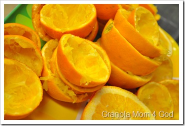 Orange%20Juice%20481_thumb%5B6%5D.jpg