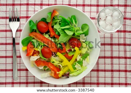 stock-photo-salad-with-water-glass-on-tablecloth-high-angle-view-3387540.jpg