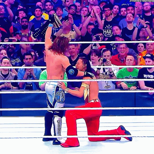 shinsuke-nakamura-low-blow.gif