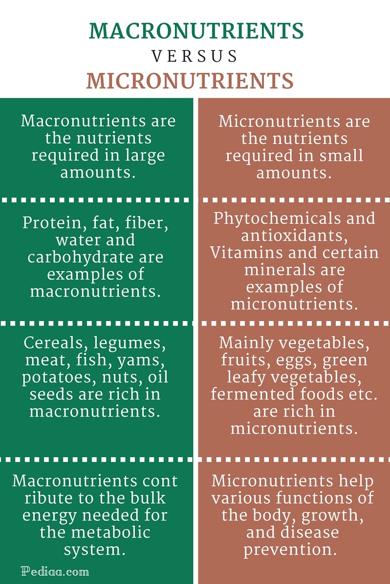 Difference-Between-Macronutrients-and-Micronutrients-infographic.jpg