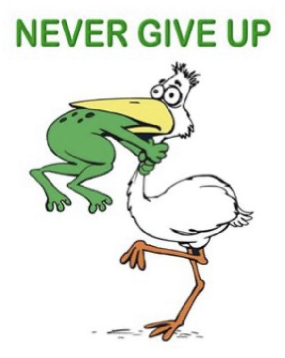 Pelican-Frog-Never-Give-Up-Posters.png