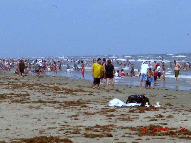 22699d1215389869-galveston-beach-pictures-dsc01342.jpg