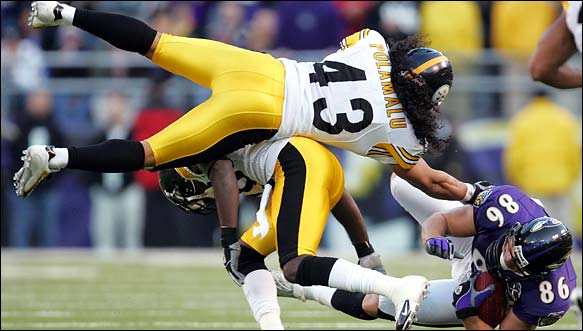 polamalu1.jpg