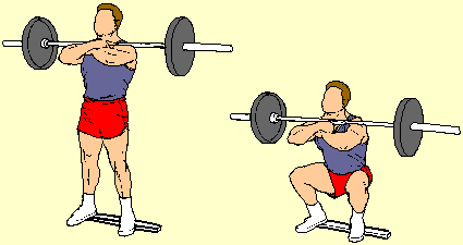 thighs-heels-elevated+barbell+front+squat.gif