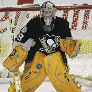 nhl_a_fleury_sq_300.jpg