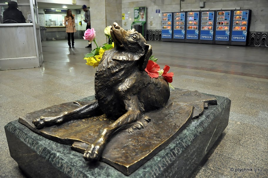metro-mendeleyevskaya-dog.jpg
