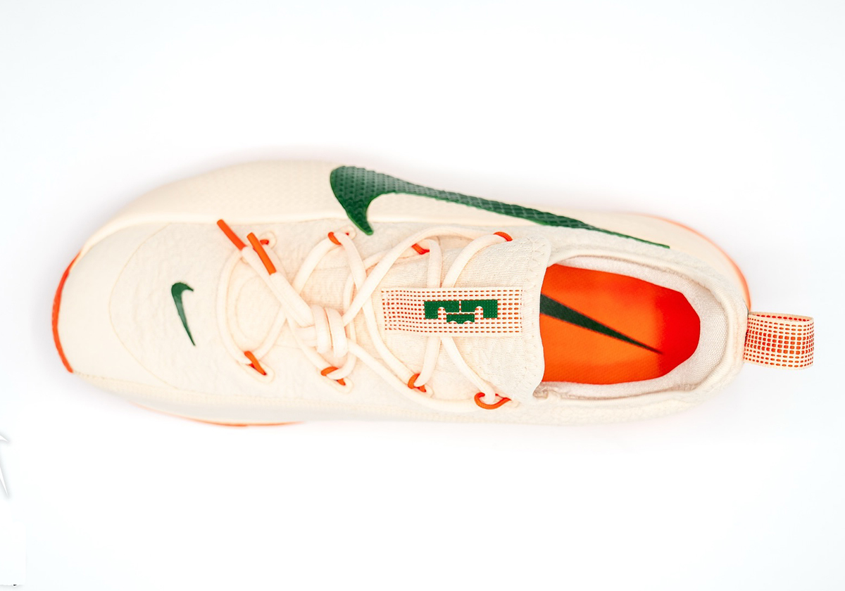 nike-lebron-tr1-famu-pe-1.jpg