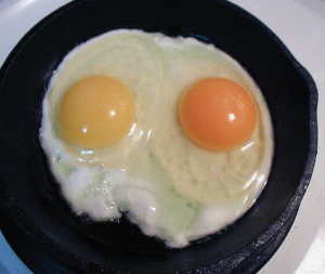 egg-yolks.jpg