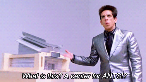 What-is-this-A-Center-For-Ants-Zoolander.gif