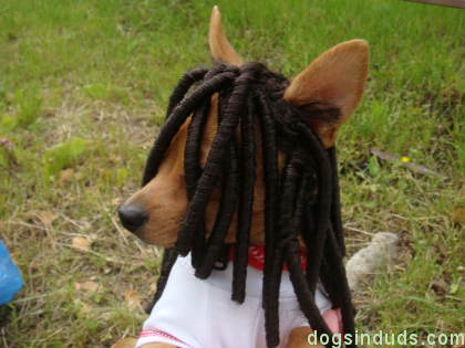 190910-unknown-arche-dreads.jpg