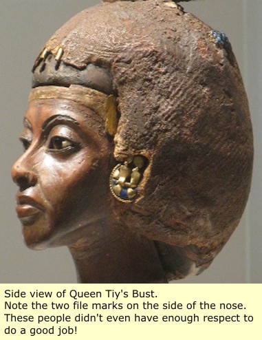 Tiye_side_view_2.jpg