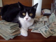 money-cat-226x170.jpeg