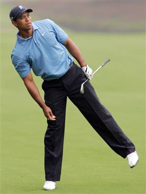 070510_tiger_woods_vlrg_11awidec.jpg