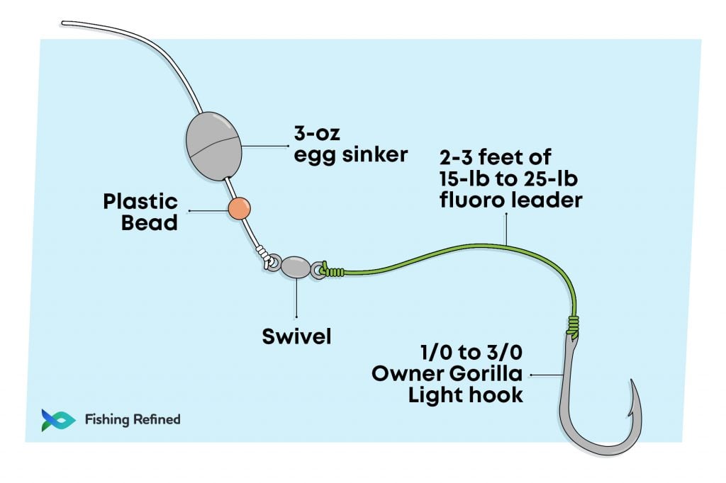 Carolina-Rig-Setup-Guide-Infographic-1024x682.jpg