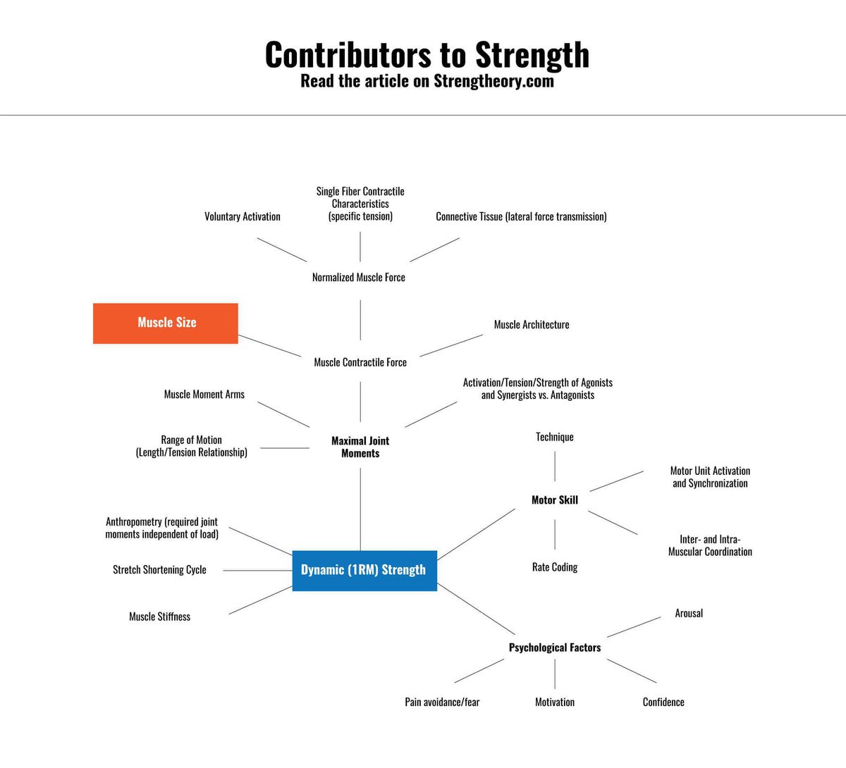 Contributors_to_Strength_Credit___StrengthTheory.com.jpg
