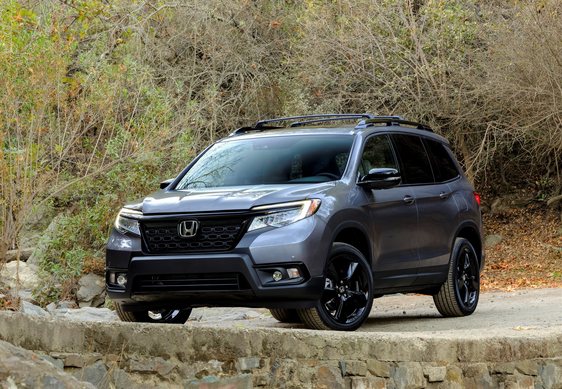 7532c8df-2019-honda-passport-15.jpg