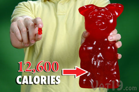 worlds-largest-gummy-bear-calories.jpg