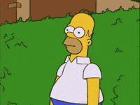 Homer Simpson Bushes GIFs - Find & Share on GIPHY