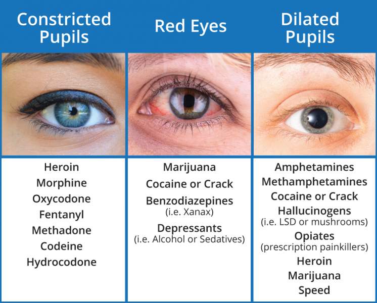 Pupil-Dialation-Drug-Chart-746x600.jpg