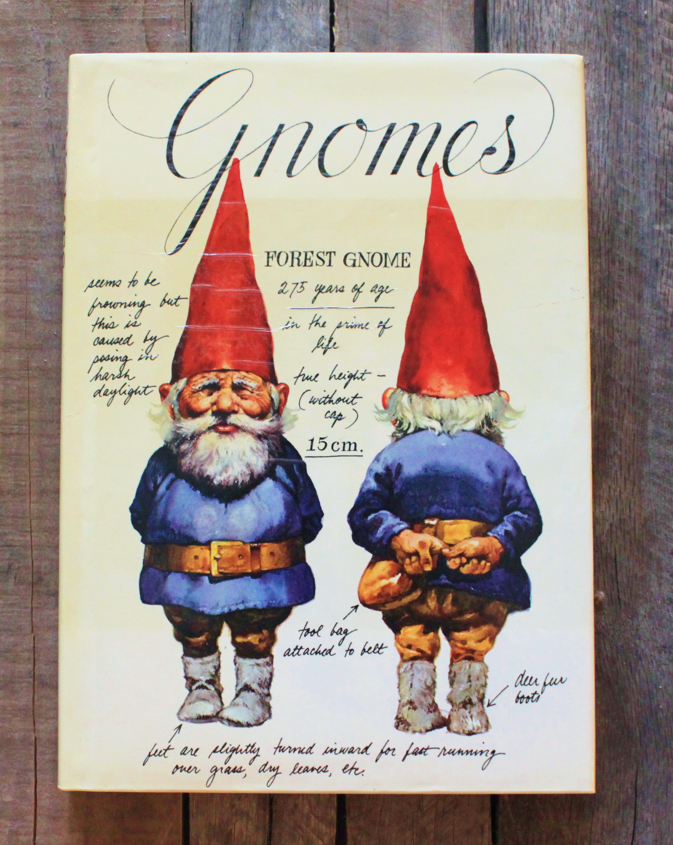 the-gnome-book.jpg